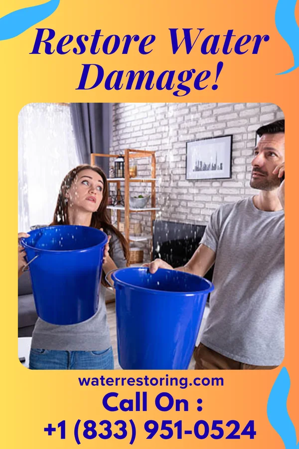 water restoration Diamond Cleanup Experts Dellwood
