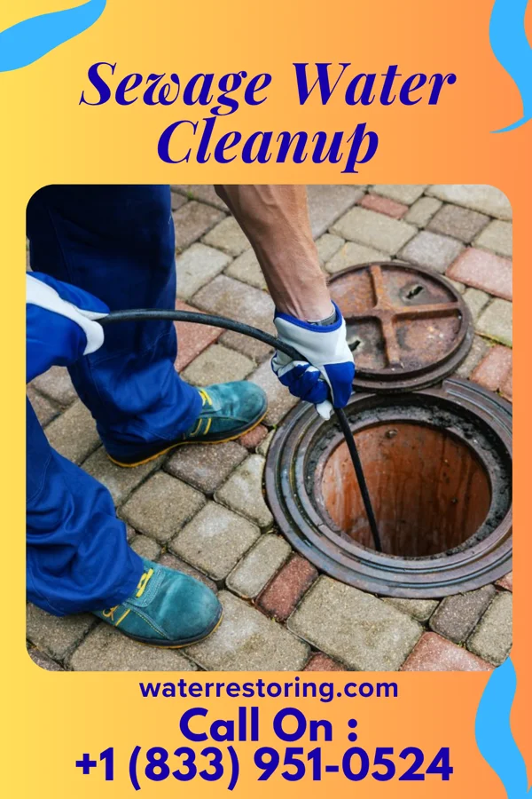 Sewage Water Cleanup in Dellwood, MN